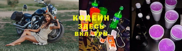 шишки Белокуриха