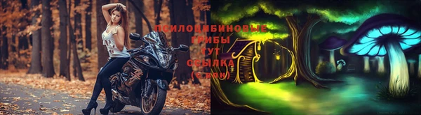сатива Белоозёрский
