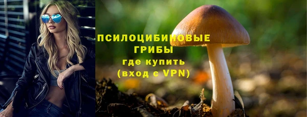 шишки Белокуриха