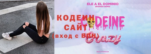 шишки Белокуриха