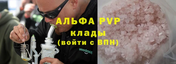шишки Белокуриха