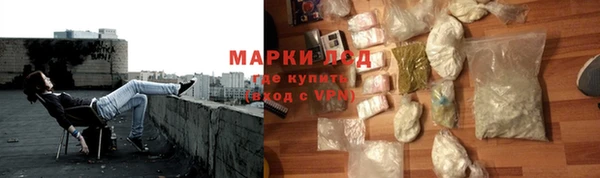 шишки Белокуриха