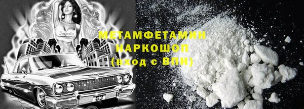 шишки Белокуриха