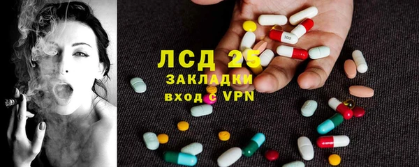 шишки Белокуриха