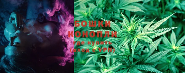 шишки Белокуриха