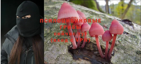 шишки Белокуриха