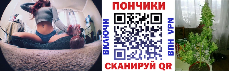 Марихуана White Widow Кирсанов